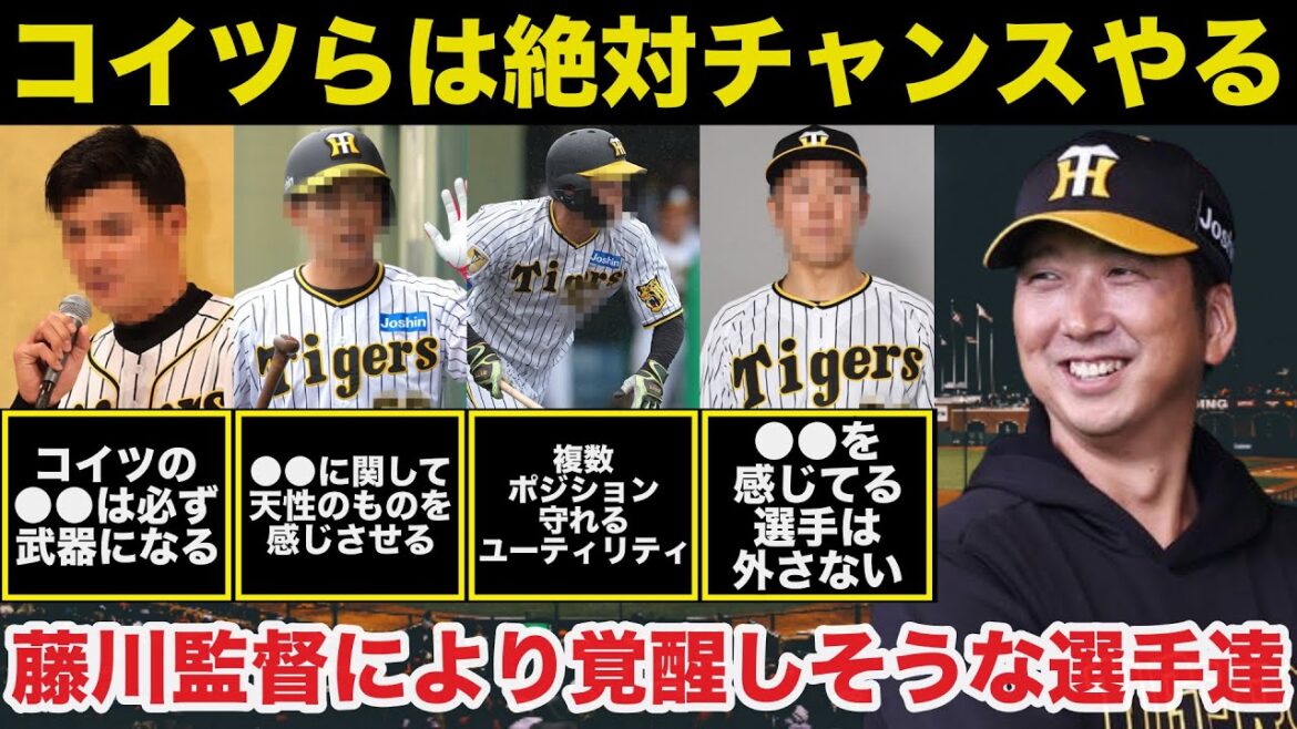 阪神.岡田前監督には冷遇されたが藤川監督には使われ覚醒しそうな選手たちの存在【阪神タイガース/プロ野球】 阪神.岡田前監督には冷遇されたが藤川監督には使われ覚醒しそうな選手たちの存在【阪神タイガース/プロ野球】