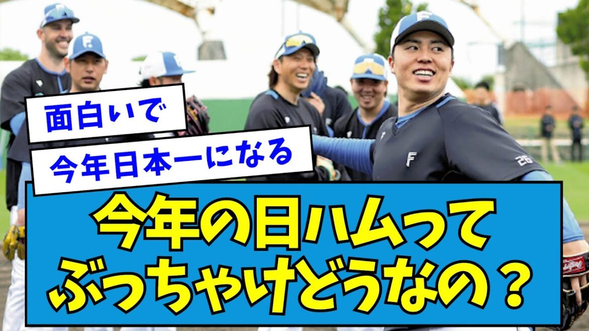 【優勝できるか】今年の日ハムってぶっちゃけどうなの?【なんJ反応】 【優勝できるか】今年の日ハムってぶっちゃけどうなの?【なんJ反応】