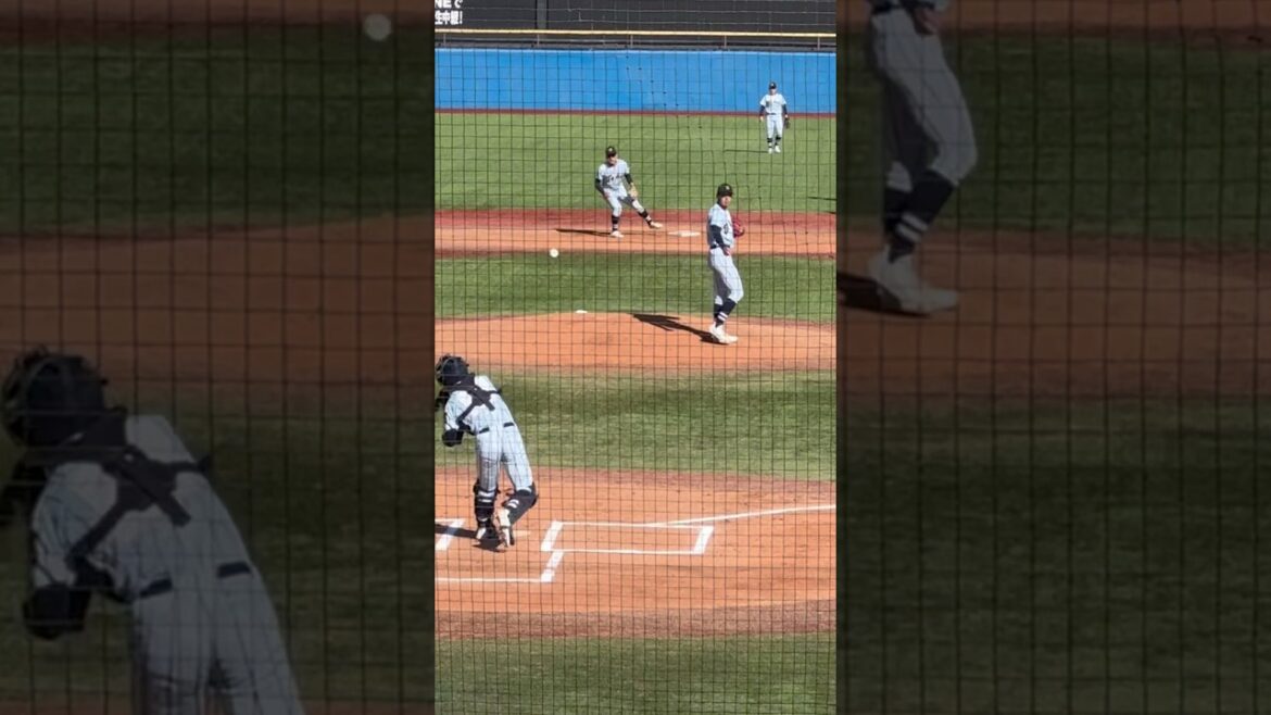 11月22日 明治神宮野球大会　東海大札幌　鈴木捕手2塁送球#baseball#明治神宮野球大会#shorts#東海大札幌