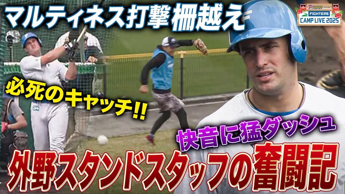 マルティネス打撃練習 柵越え打球を必死に追いかけるスタッフに密着ww ＜2/2ファイターズ春季キャンプ2025＞