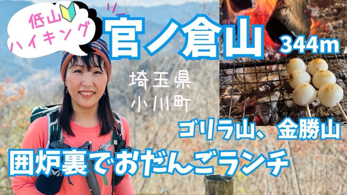 【官ノ倉山】ゴリラ山、金勝山🔰重要文化財の吉田家住宅で癒しの囲炉裏お団子ランチ