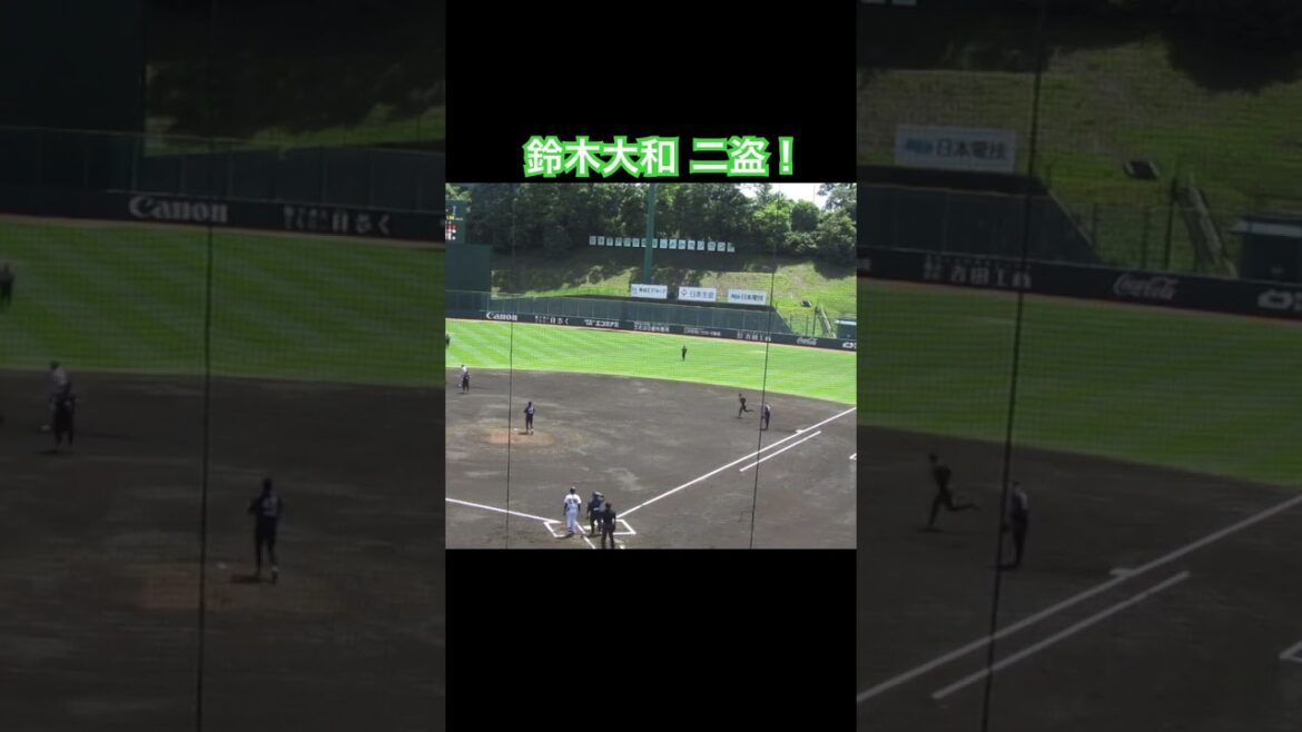 鈴木大和が盗塁決める（読売ジャイアンツ対 千葉スカイセイラーズ2024年5月17日） #盗塁 #鈴木大和