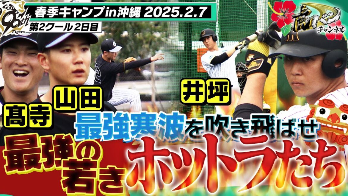 【若手が熱い🔥】3年目の若虎 井坪がランチ特打で柵越え連発!守備では山田・髙寺が熱き美守で魅了する!!阪神タイガース密着!応援番組「虎バン」ABCテレビ公式チャンネル 【若手が熱い🔥】3年目の若虎 井坪がランチ特打で柵越え連発!守備では山田・髙寺が熱き美守で魅了する!!阪神タイガース密着!応援番組「虎バン」ABCテレビ公式チャンネル