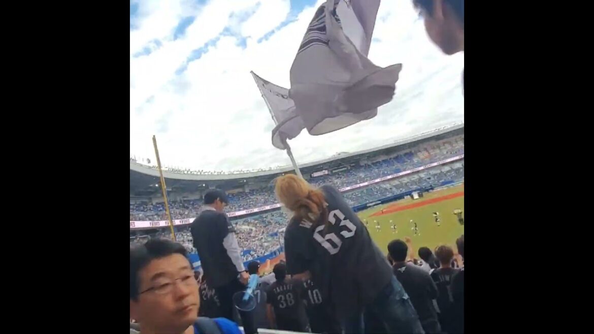 20240525【7連勝を決めた試合後】佐藤都志也の応援歌　#shorts　千葉ﾛｯﾃﾏﾘｰﾝｽﾞ@ZOZOﾏﾘﾝｽﾀｼﾞｱﾑ･外野ﾚﾌﾄ