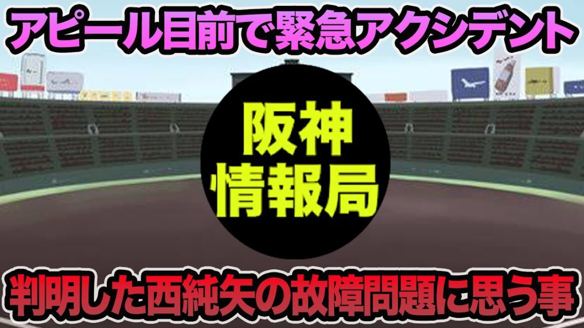 【痛恨の緊急アクシデント..】発覚した西純矢の故障問題について思う事.. 複数判明の紅白戦最新事情を徹底解説【阪神タイガース】
