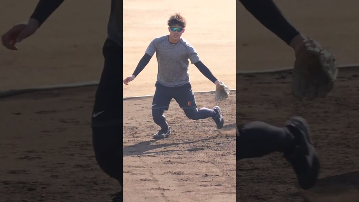 【巨人】ドラフト1位・石塚裕惺選手の守備練習　#shorts #baseball #sports #ジャイアンツ #巨人 #プロ野球