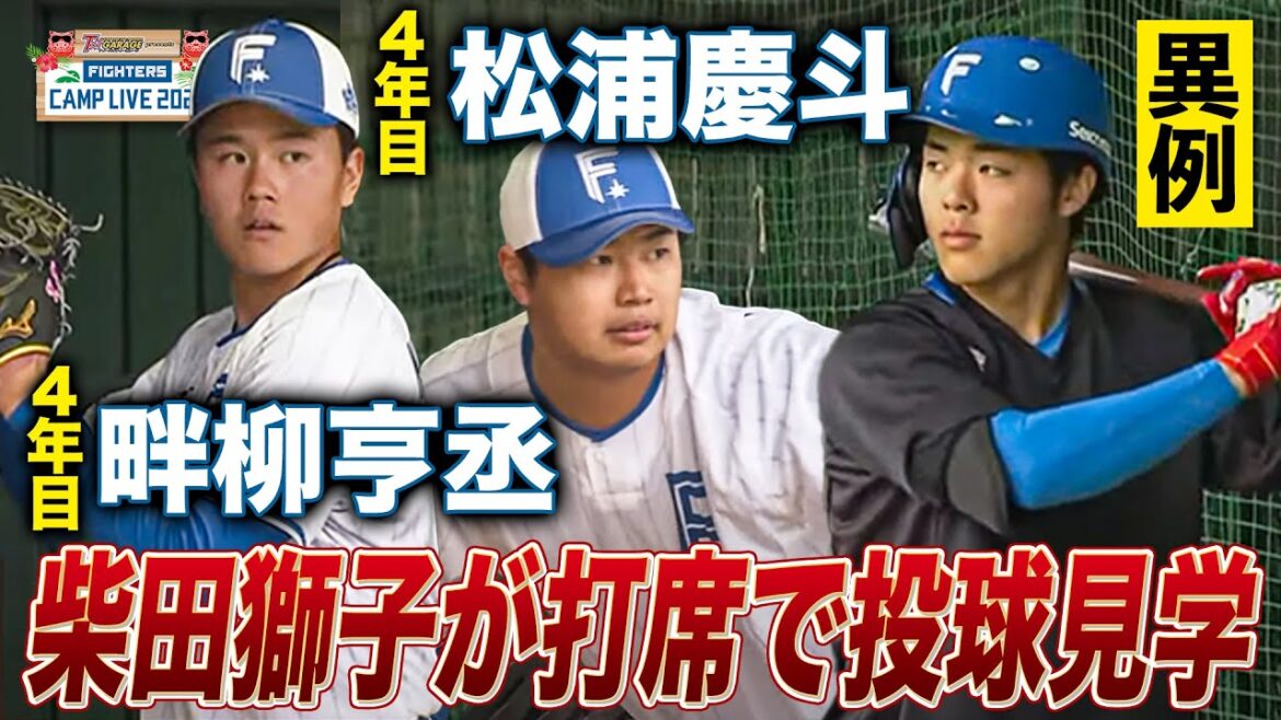 【異例】4年目畔柳亨丞&松浦慶斗の国頭ブルペンに柴田獅子が打席に<2/6ファイターズ春季キャンプ2025> 【異例】4年目畔柳亨丞&松浦慶斗の国頭ブルペンに柴田獅子が打席に<2/6ファイターズ春季キャンプ2025>