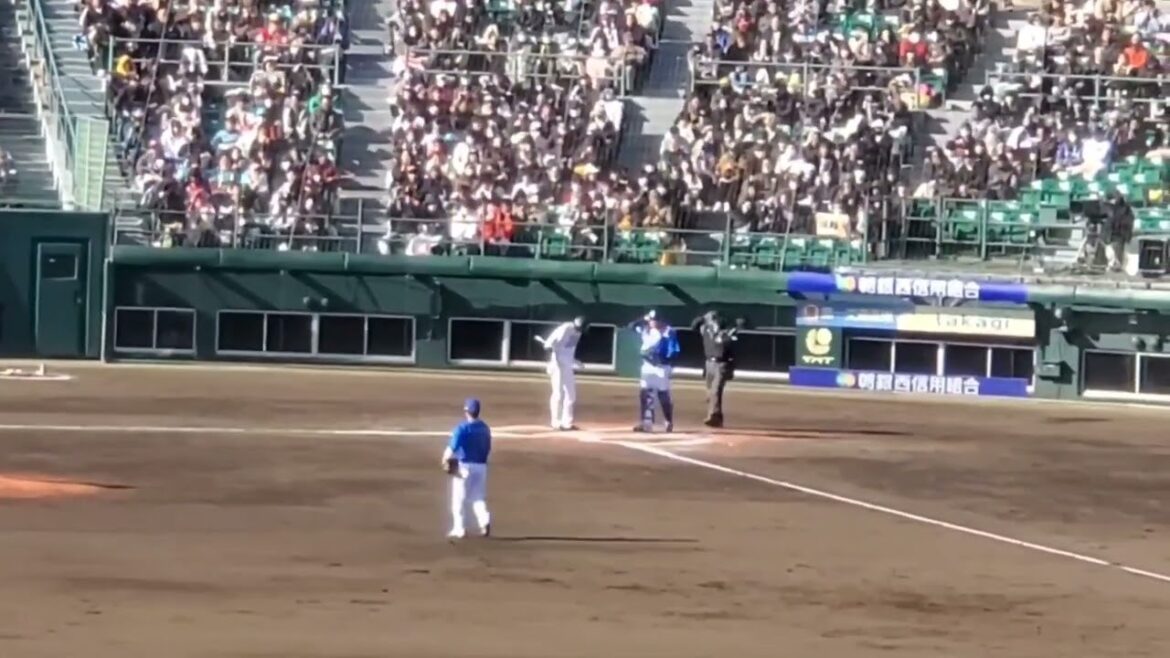 20240302　川瀬晃 第2打席の登場曲【｢マイ フレンド｣／ZARD】　や回ｳﾗ　福岡ｿﾌﾄﾊﾞﾝｸﾎｰｸｽ@北九州市民球場･外野ﾚﾌﾄ ｵｰﾌﾟﾝ戦