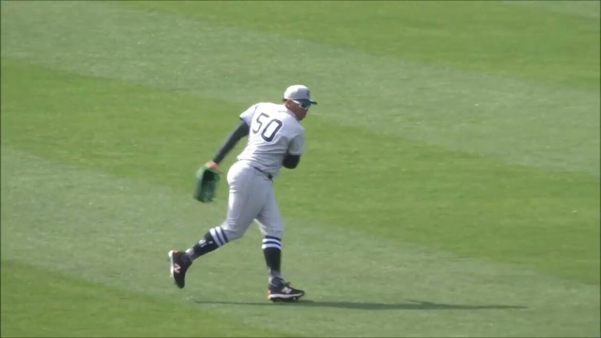 秋広優人、岡本和真、萩尾匡也、オコエ瑠偉、浅野翔吾、佐々木俊輔選手の外野守備からのバックホーム姿【巨人軍2025年春季キャンプ】