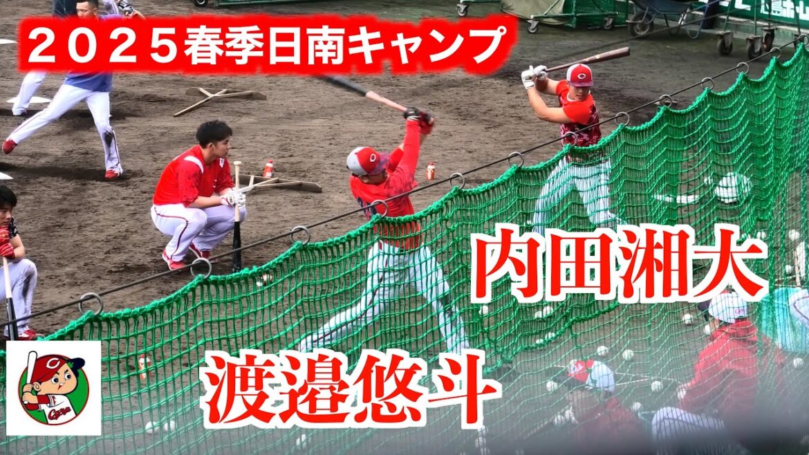 秋季から恒例のロングティー（広島東洋カープ）打撃向上に期待！【２０２５春季日南】
