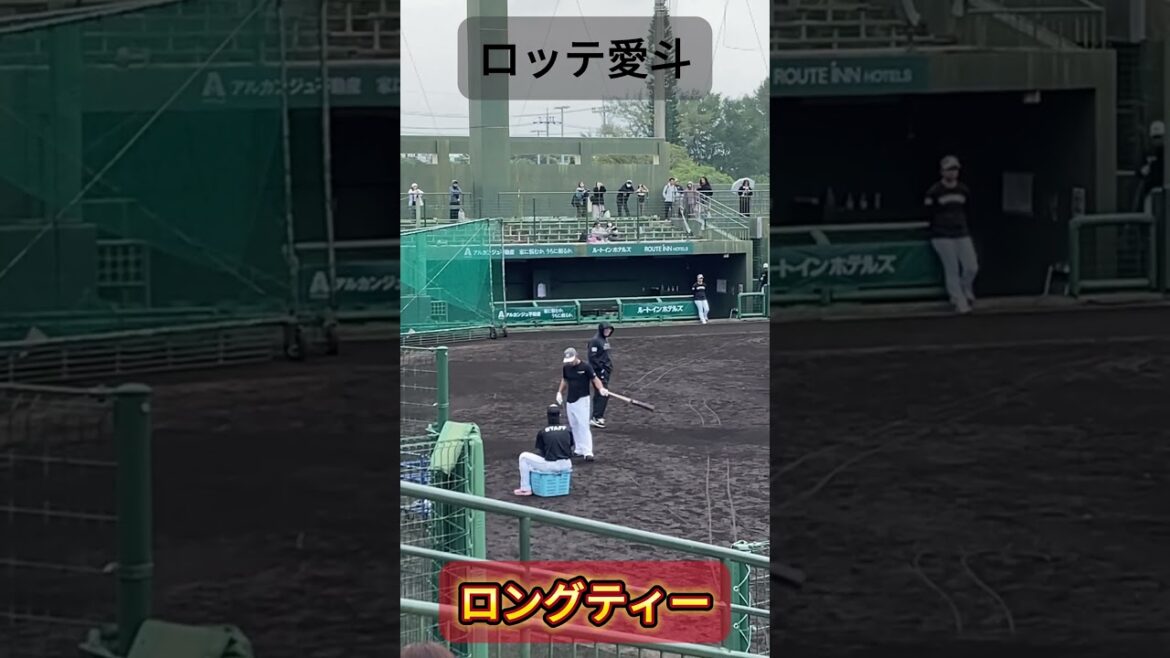 春季キャンプ2025での愛斗選手（ロッテ）のロングティー！#千葉ロッテマリーンズ #プロ野球 #春季キャンプ #愛斗 #バッティング #バッティング練習 #打撃 #打撃練習 #野球youtube