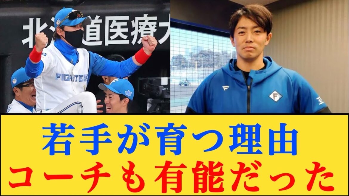 日本ハムの若手が育つ理由、コーチも有能だったと判明する #北海道日本ハムファイターズ #新庄剛志 #谷内亮太 日本ハムの若手が育つ理由、コーチも有能だったと判明する #北海道日本ハムファイターズ #新庄剛志 #谷内亮太