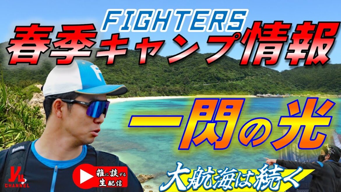 【ファイターズキャンプ情報】  谷内様の誕生日を祝いながら 雑に談ずる生配信    Yuちゃんの２５番ゲート　　『LIVE「ライブ」』