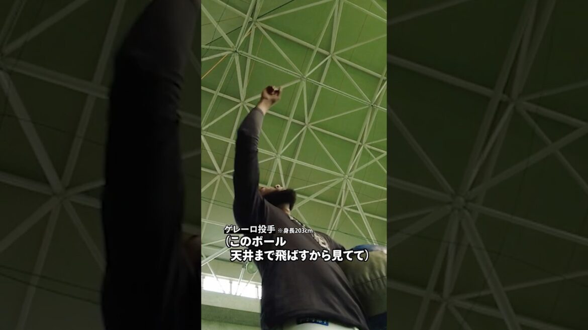 【身長203cm】タイロン・ゲレーロ投手のパワーがすごすぎる… #chibalotte