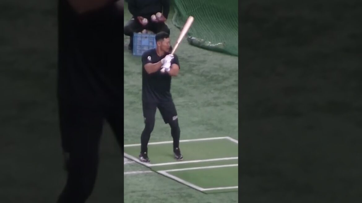 【トスバッティング】ロッテ 荻野貴司のスイング（2024年6月6日 読売ジャイアンツ対 千葉ロッテマリーンズ）