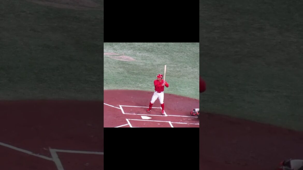 カープ 田中広輔の打撃フォーム＜読売ジャイアンツ 対 広島カープ 2024年4月13日＞ #田中広輔