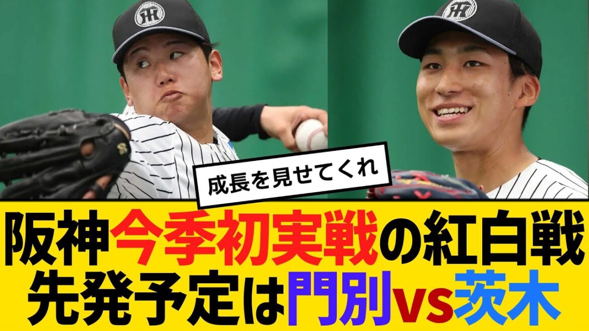 阪神今季初実戦の紅白戦先発予定は、門別啓人vs茨木秀俊【ネットの反応】【反応集】