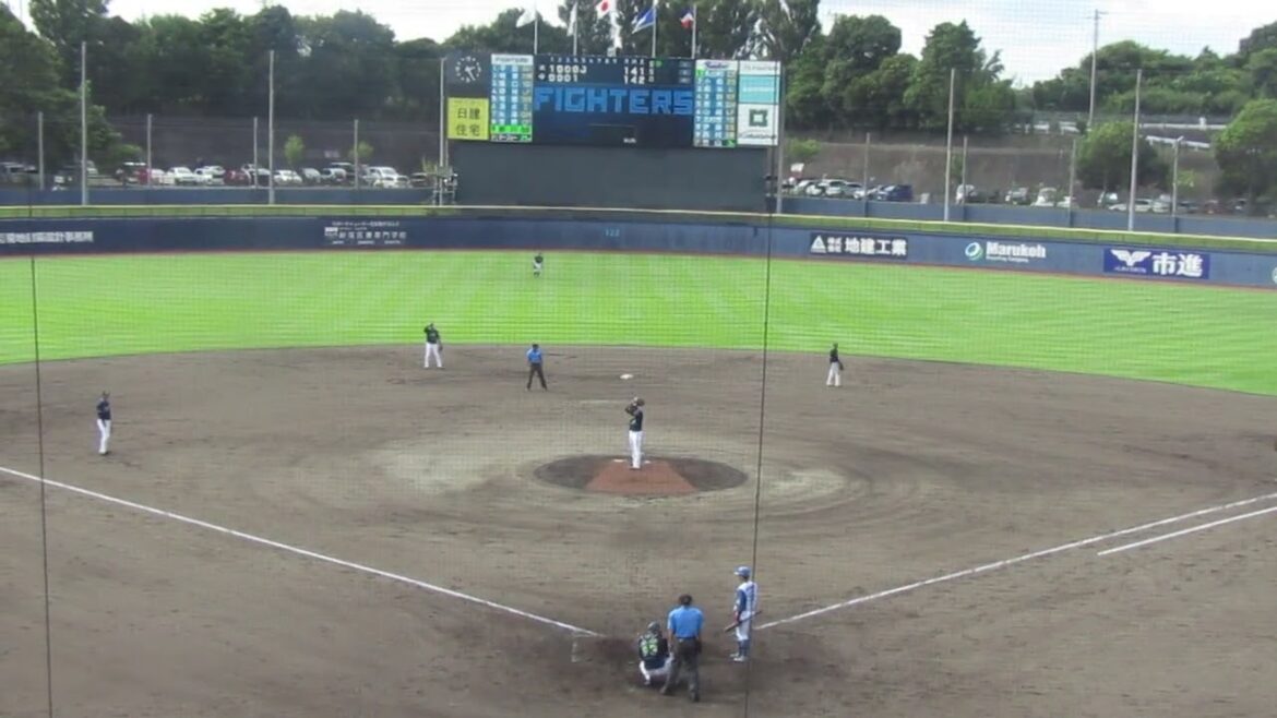 宮崎一樹 相手のエラーで出塁 細川凌平が四球で無死一二塁のチャンス（2024年9月4日 日本ハムファイターズ 対 ヤクルトスワローズ）