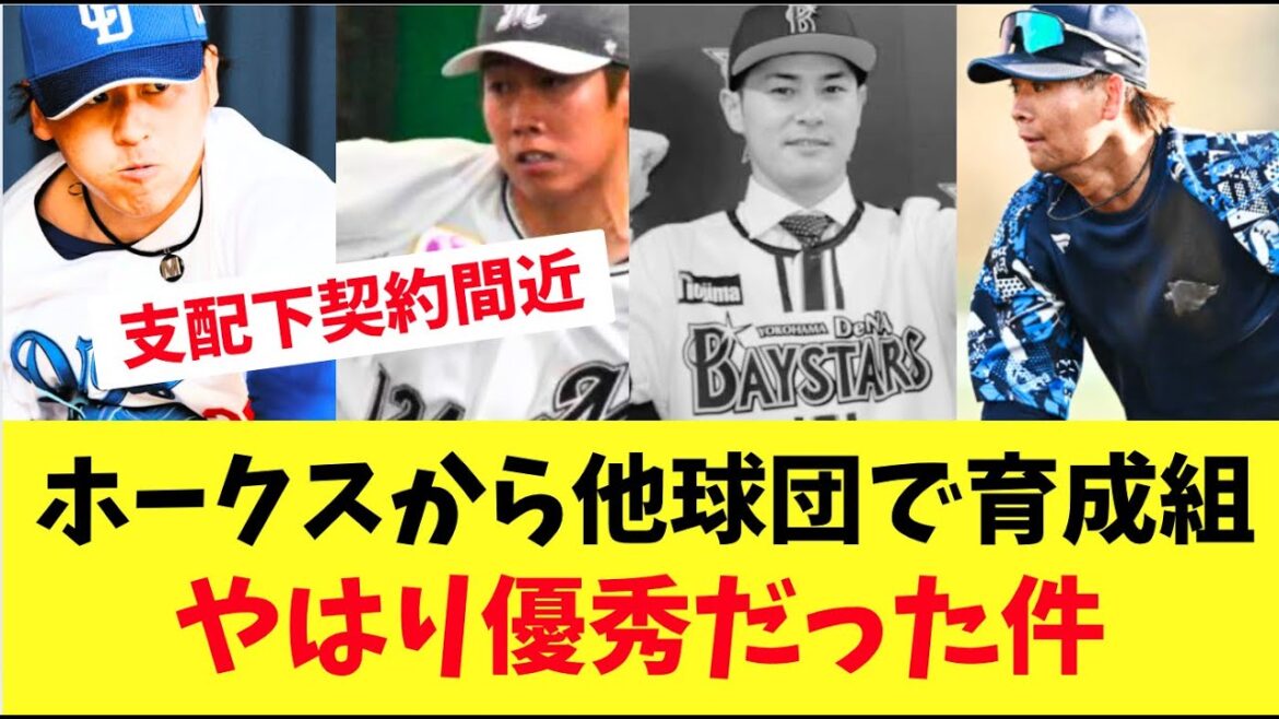 【元ホークス】ホークスから他球団で育成契約組！支配下契約間近？でやはり優秀だった件！