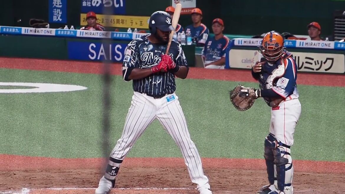 2024.08.17 オイシックス新潟-埼玉西武 #コルデロ 打席シーン (ベルーナドーム)