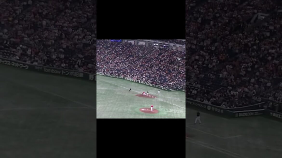 吉川尚輝の打球 くるりと送球 小園海斗の守備が上手い！【 読売ジャイアンツ対 広島カープ2024年4月13日】