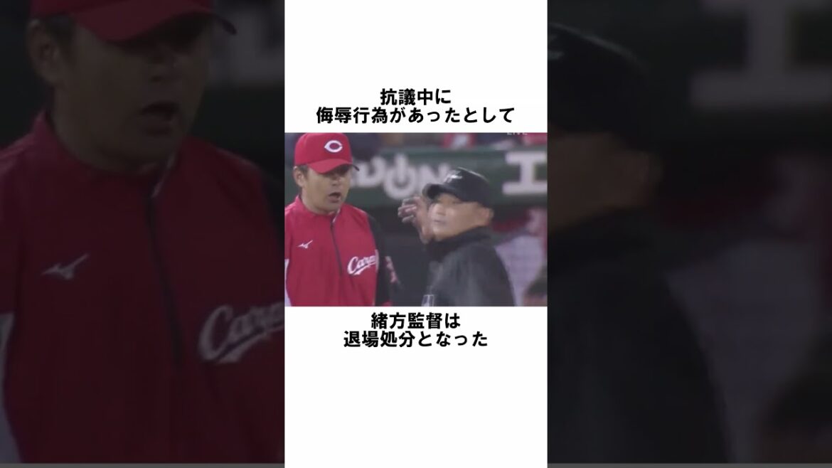 『世紀の大誤審　山路哲生』に関する雑学　#野球解説　#雑学　#MLB　#shorts　　#野球雑学　#誤審　#山路哲生 #白井一行