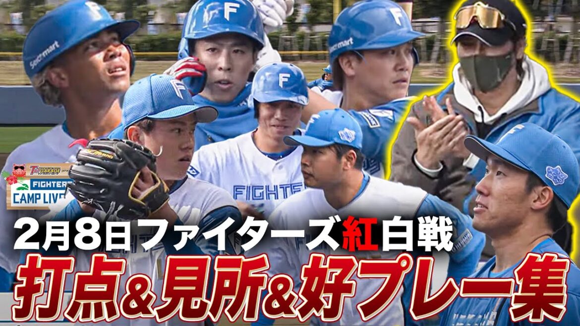 【完璧バックホームに拍手】ファイターズ紅白戦 打点/見所/好プレー集 ロングハイライト＜2/8ファイターズ春季キャンプ2025＞