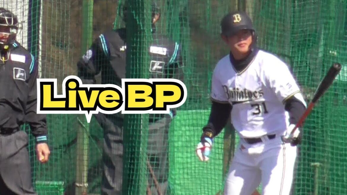 【プロ野球】2025年2月8日　オリックス　キャンプ　『Live BP②』