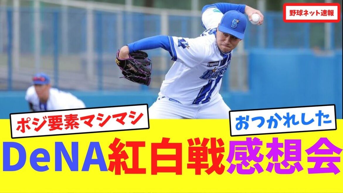 DeNA紅白戦感想会【ネット反応集】