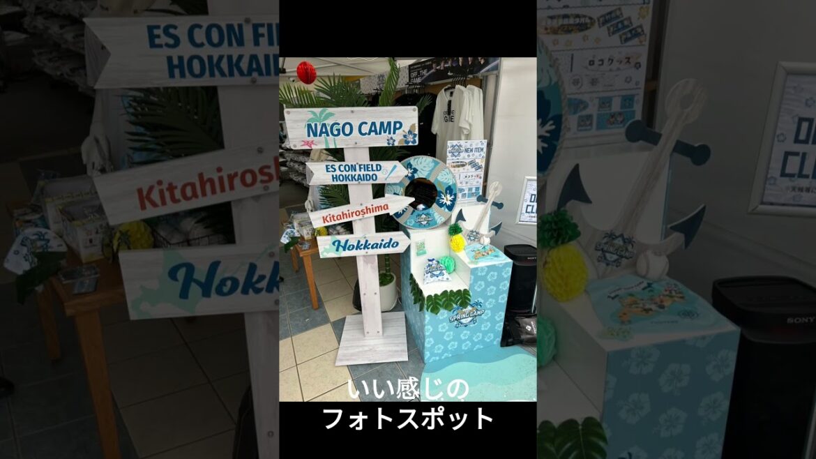 北海道日本ハムファイターズ名護春季キャンプ2025