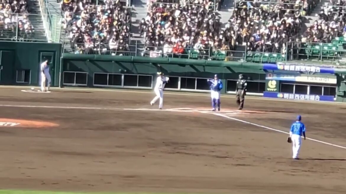 20240302 三森大貴 偶数打席の登場曲【「Smile For Me」/E-girls】 4回ウラ第2打席 福岡ソフトバンクホークス@北九州市民球場・外野レフト オープン戦 20240302 三森大貴 偶数打席の登場曲【「Smile For Me」/E-girls】 4回ウラ第2打席 福岡ソフトバンクホークス@北九州市民球場・外野レフト オープン戦