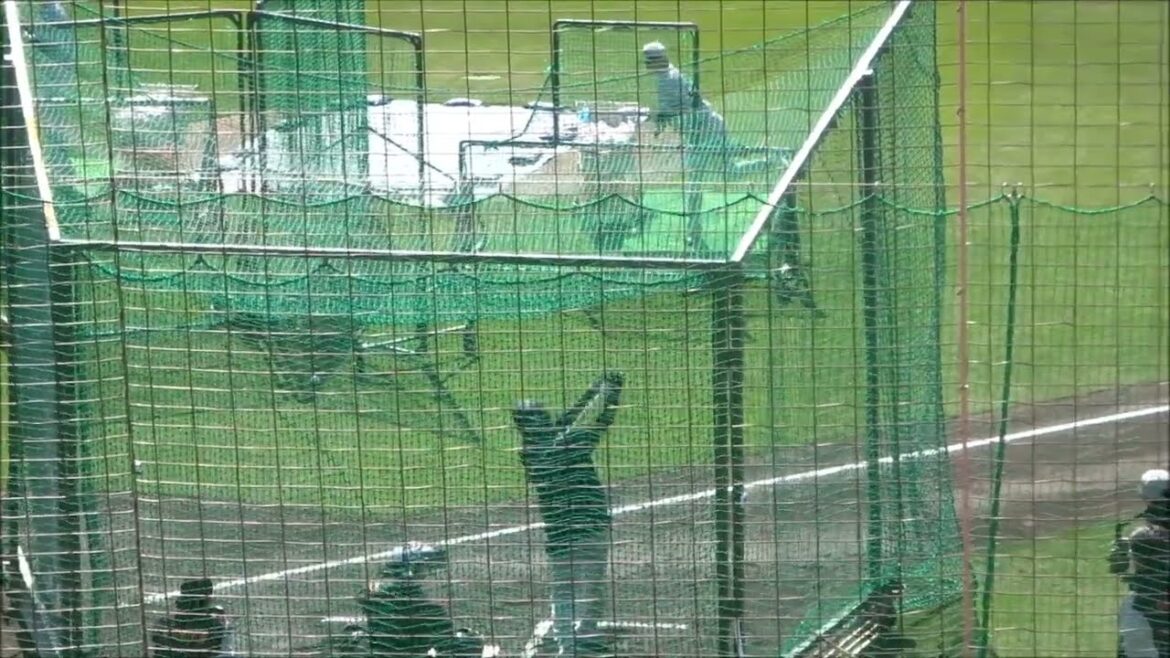 丸佳浩・岡本和真、フリーバッティング（2025.02.06） ～読売ジャイアンツ宮崎春季キャンプ2025～