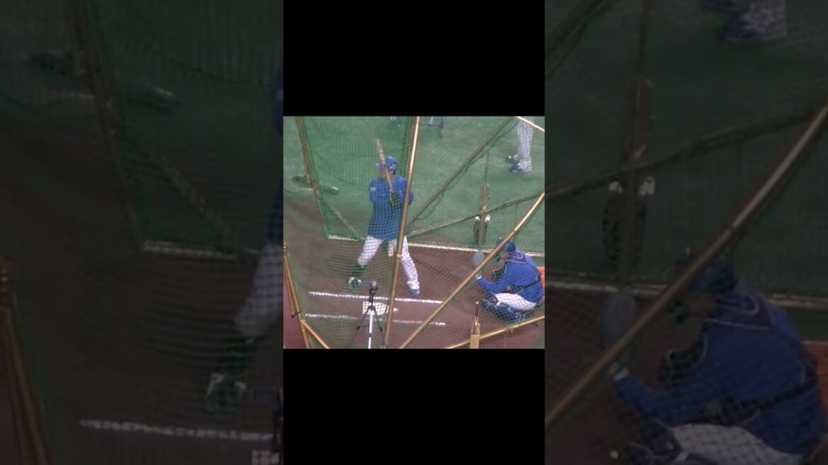 【ドラゴンズ】後藤駿太フリーバッティング＜読売ジャイアンツ 対 中日ドラゴンズ 2024年4月24日＞