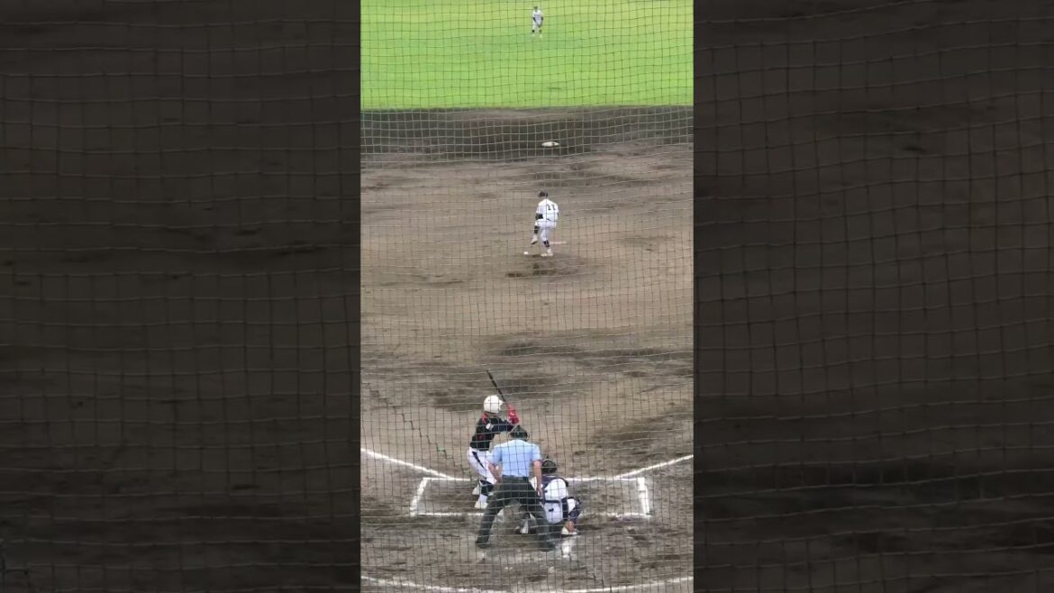 市川リトルシニア　菅原秀伸　マルチヒット　2024.5.6