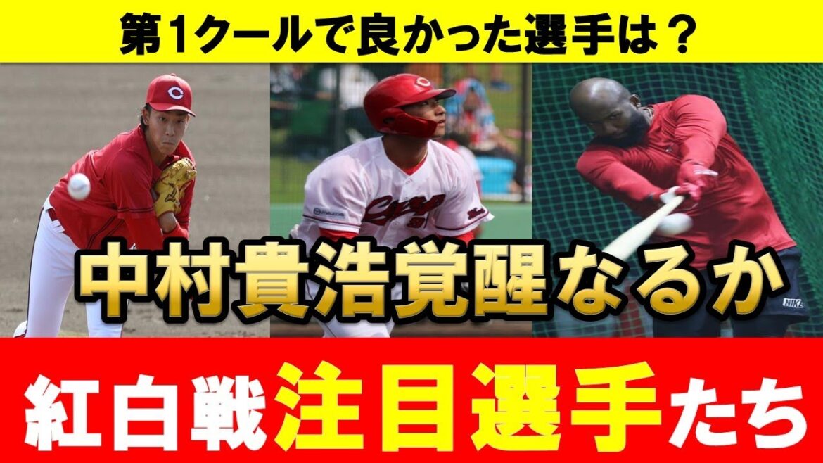 【カープ】紅白戦で注目の選手は誰だ？第1クールで印象に残った選手たち【広島東洋カープ】