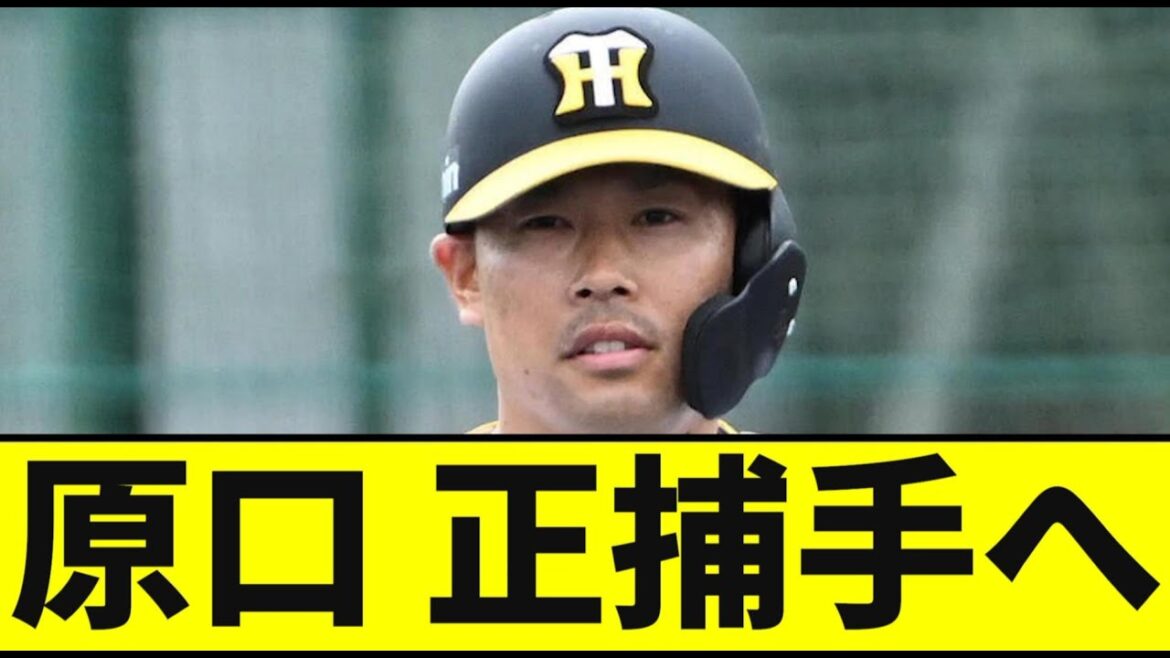 【阪神】原口、正捕手へｗｗｗｗｗｗｗｗｗｗ【2chスレ】