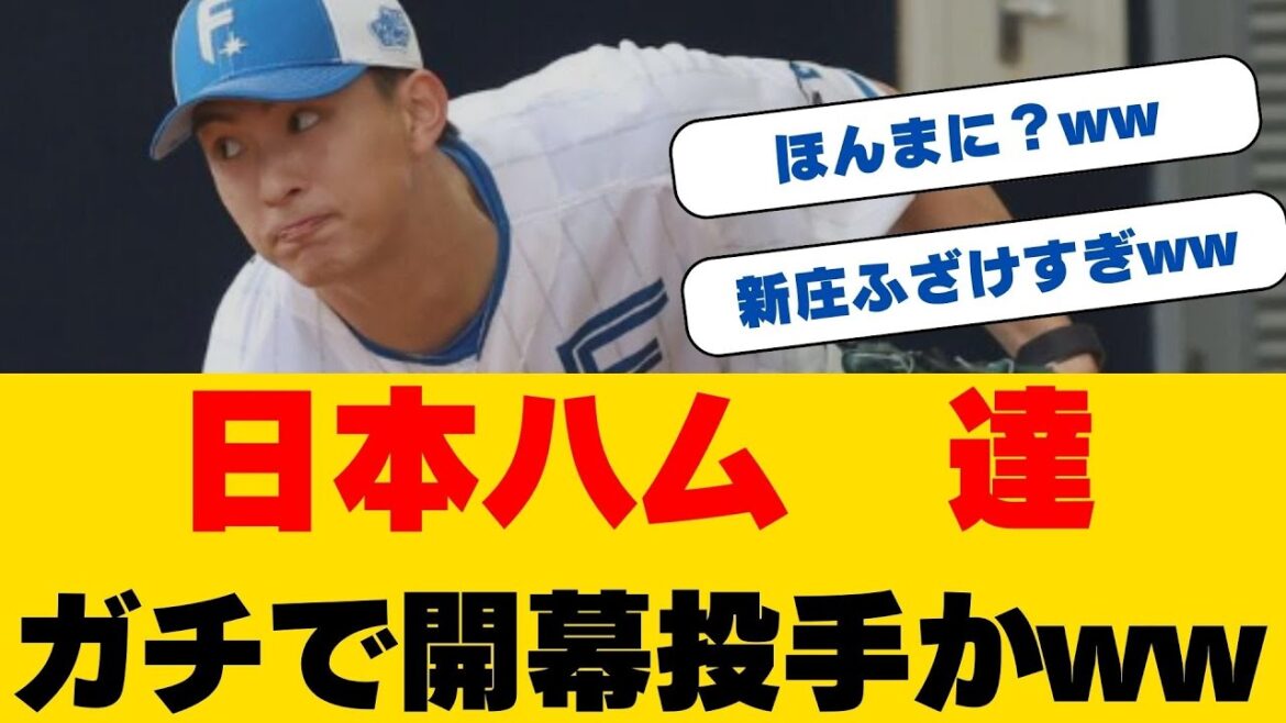 194cm20歳の怪物！日本ハム・達孝太が魅せた154キロ剛速球！伊藤大海が惚れ込んだ"天理高校の星"にローテ確約の予感！？