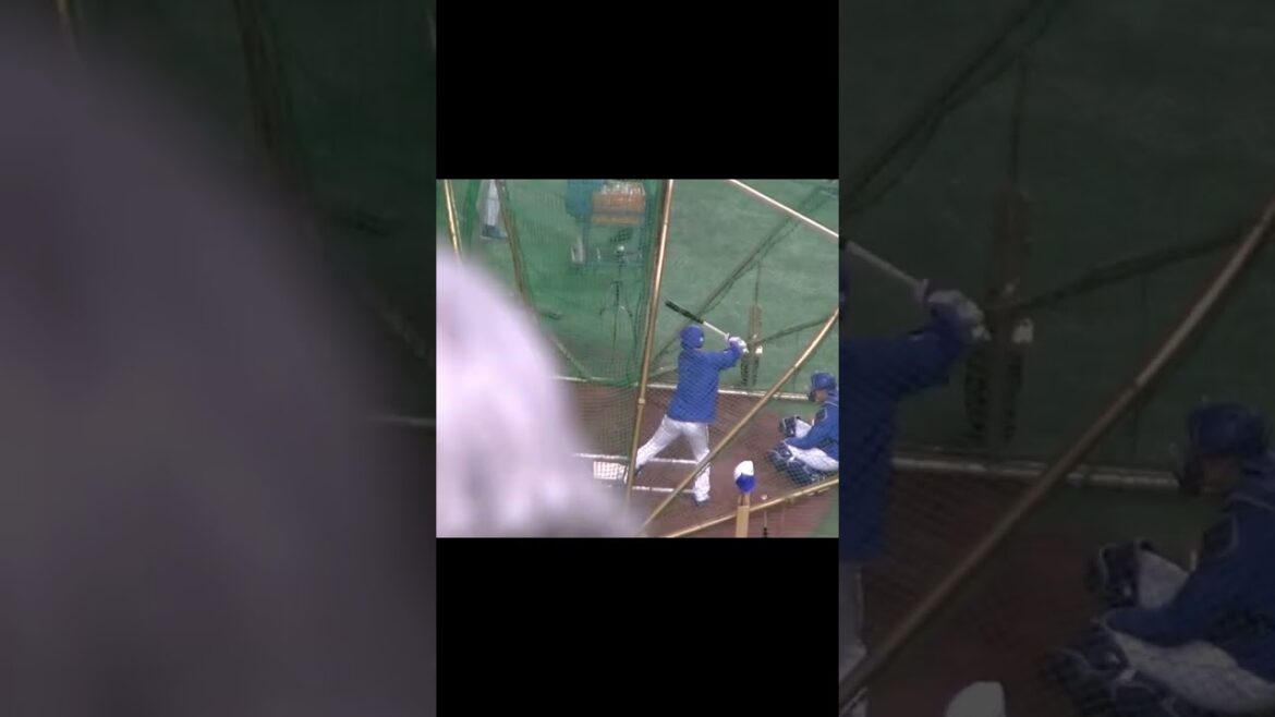 【ドラゴンズ】山本泰寛フリーバッティング＜読売ジャイアンツ 対 中日ドラゴンズ 2024年4月24日＞