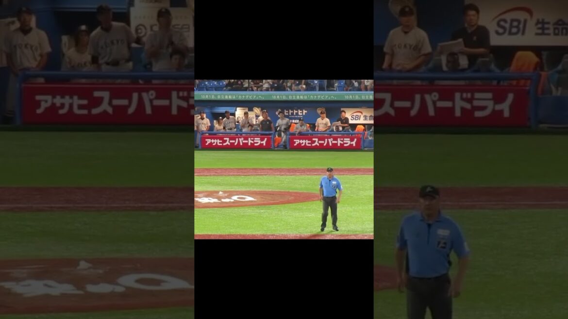 【ジャイアンツベンチ】大城卓三のヒットで三塁狙う岡本和真が心配な選手たち（ヤクルトスワローズ対 読売ジャイアンツ 2024年7月6日）