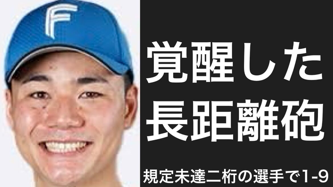 規定未達で二桁本塁打を記録した選手で1-9