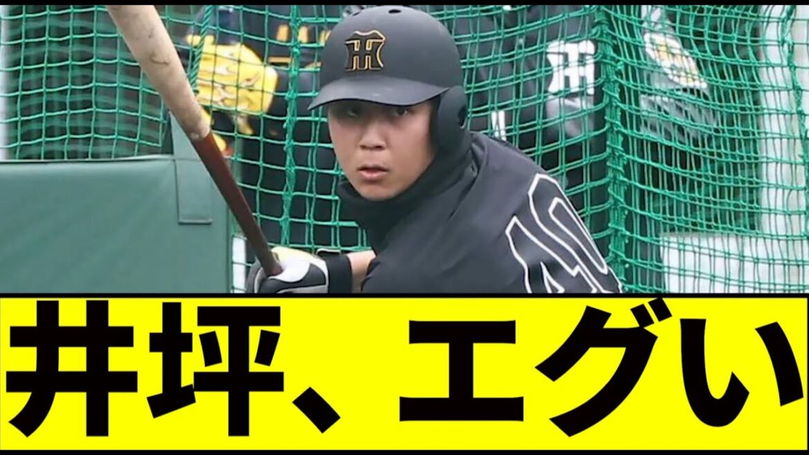 【阪神】井坪陽生、ガチのマジでエグいｗｗｗｗｗｗｗｗ【2chスレ】