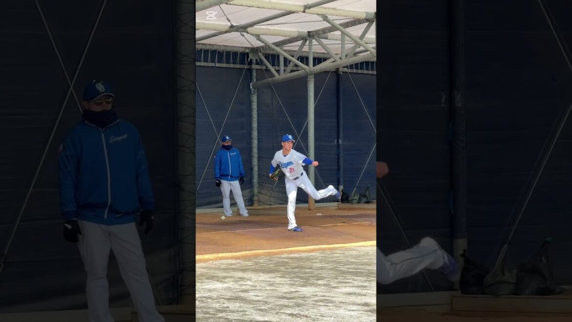 【投手・金丸夢斗】投球フォームのスロー映像 【5時スタ】 #中日ドラゴンズ #沖縄キャンプ #金丸夢斗 #shorts 【投手・金丸夢斗】投球フォームのスロー映像 【5時スタ】 #中日ドラゴンズ #沖縄キャンプ #金丸夢斗 #shorts