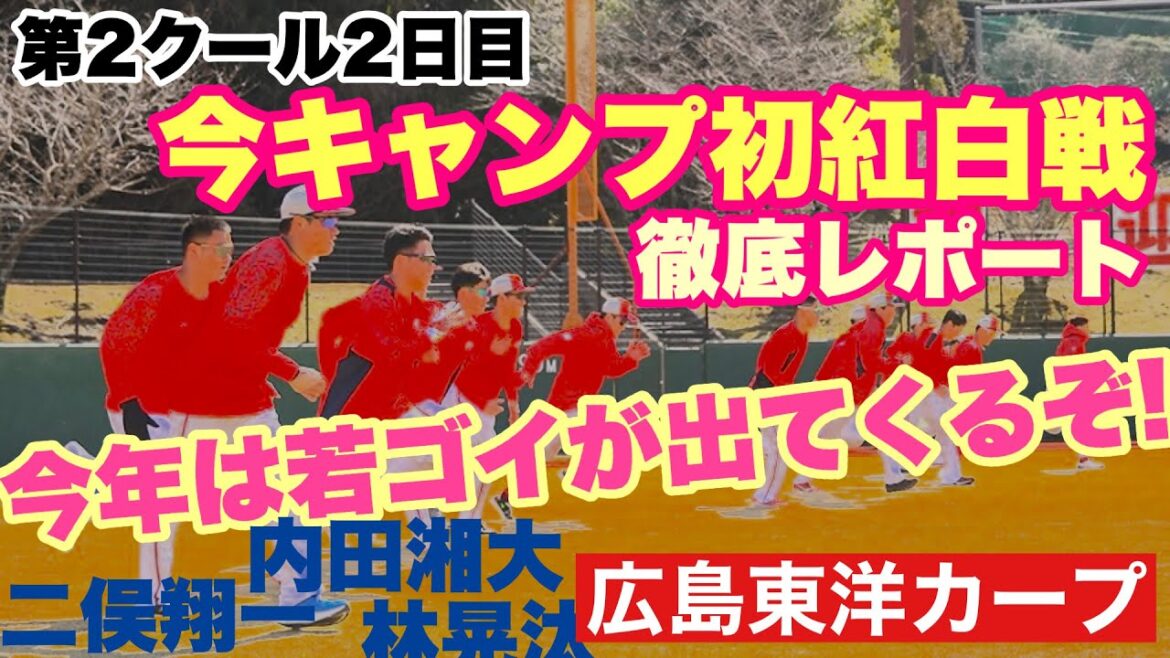 【広島東洋カープ】２/９紅白戦 徹底レポート！　今キャンプ初の紅白戦、盛り上がりましたねえ・・・　若ゴイの活躍が顕著でした　【内田湘大】【二俣翔一】【林晃汰】【滝田一希】【河野佳】【カープ】