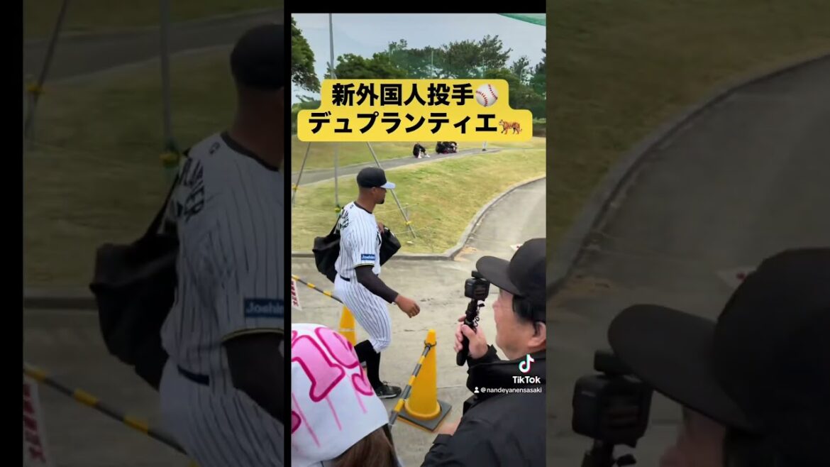 小幡竜平&山田脩也選手の朝練に遭遇　阪神沖縄キャンプ2025 #阪神タイガース #阪神 #野球 #プロ野球 #阪神ファン