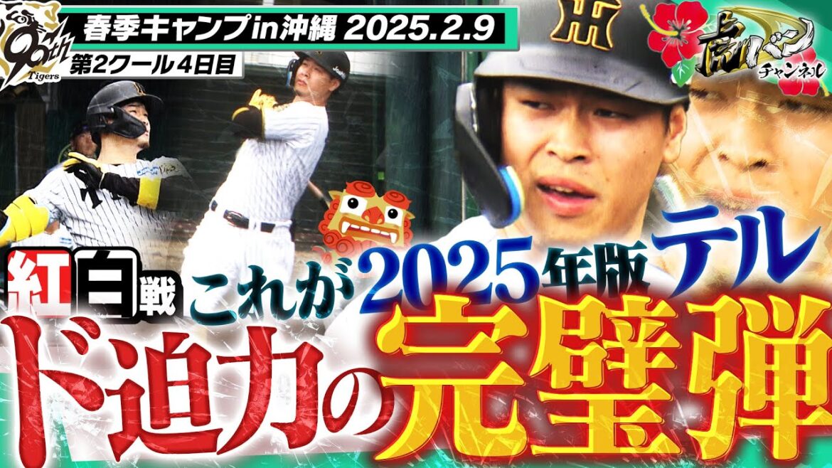 【テルの豪快アーチ】佐藤輝明が紅白戦でチーム初HR!打った瞬間わかる完璧弾!衝撃の一発をど迫力のマルチアングルでお楽しみください!!阪神タイガース密着!応援番組「虎バン」ABCテレビ公式チャンネル 【テルの豪快アーチ】佐藤輝明が紅白戦でチーム初HR!打った瞬間わかる完璧弾!衝撃の一発をど迫力のマルチアングルでお楽しみください!!阪神タイガース密着!応援番組「虎バン」ABCテレビ公式チャンネル