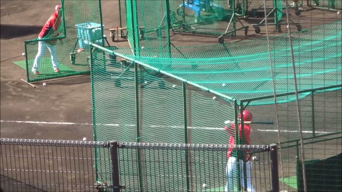 仲田侑仁、フリーバッティング（2025.02.08）～広島カープ春季日南キャンプ～