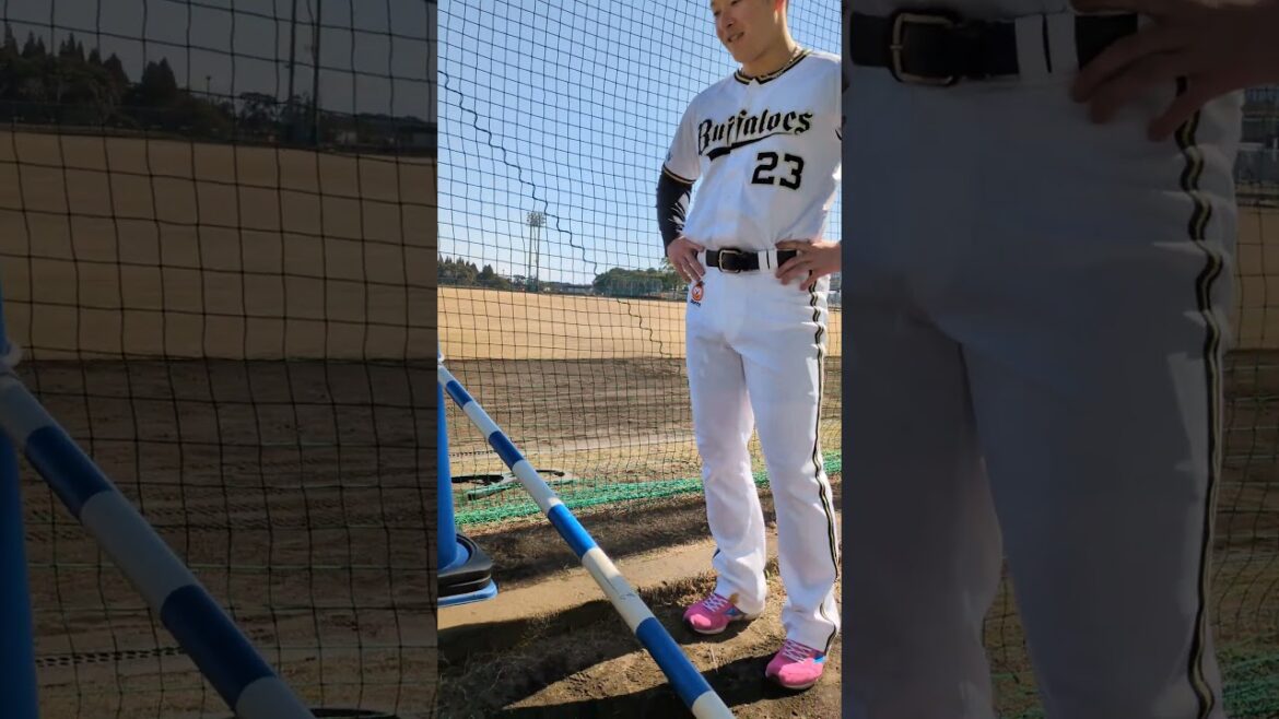 オリックスキャンプ　『吉田選手（秋田出身）と秋田犬』#オリックス #オリックスバファローズ #プロ野球