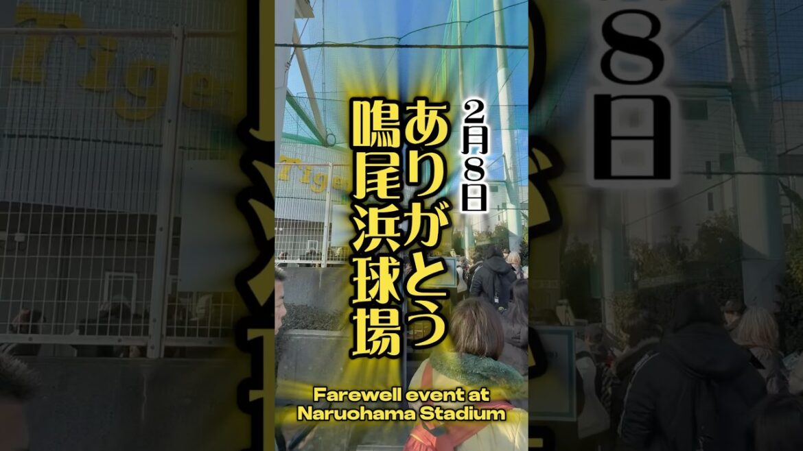阪神２軍本拠地・鳴尾浜球場で2月8日閉業イベント #阪神鳴尾浜球場 #鳴尾浜 #鳴尾浜球場 #阪神 #阪神タイガース #西宮 #プロ野球 #トラッキー #虎風荘 #江越大賀 #陽川尚将 #今朝丸裕喜