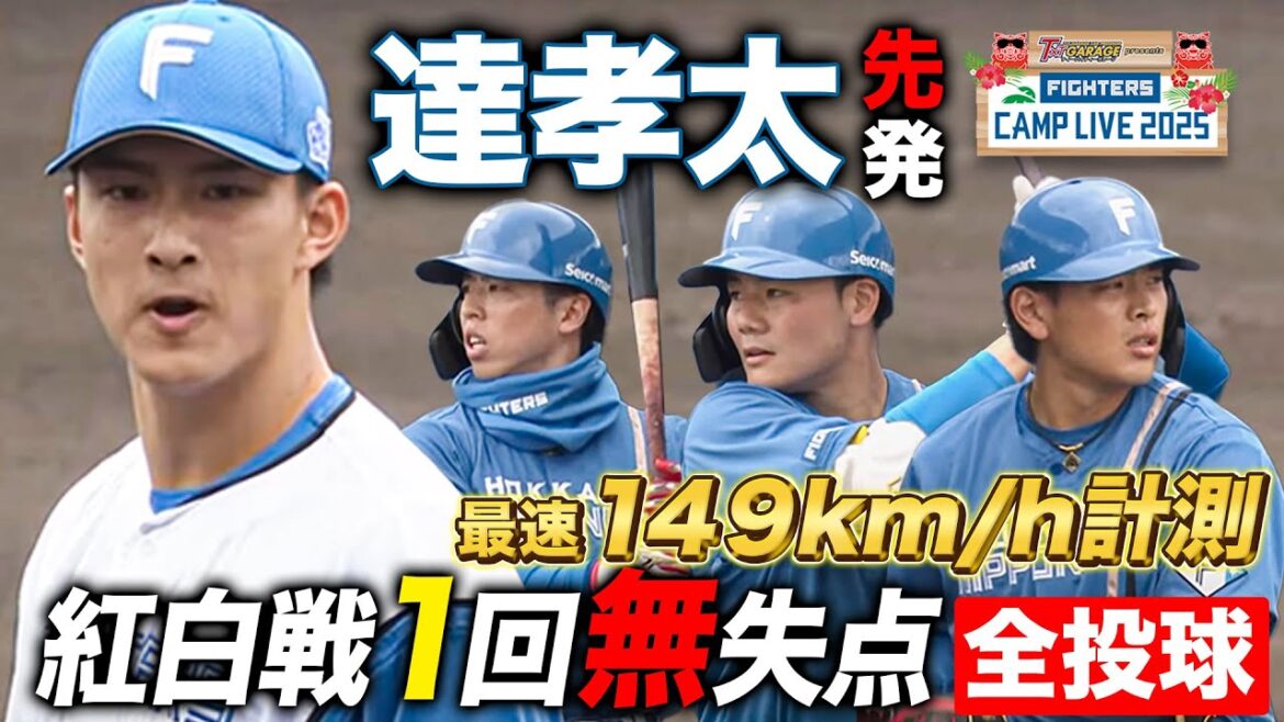 達孝太紅白戦先発1回無失点 清宮幸太郎を148キロストレート奪三振<2/9ファイターズ春季キャンプ2025> 達孝太紅白戦先発1回無失点 清宮幸太郎を148キロストレート奪三振<2/9ファイターズ春季キャンプ2025>