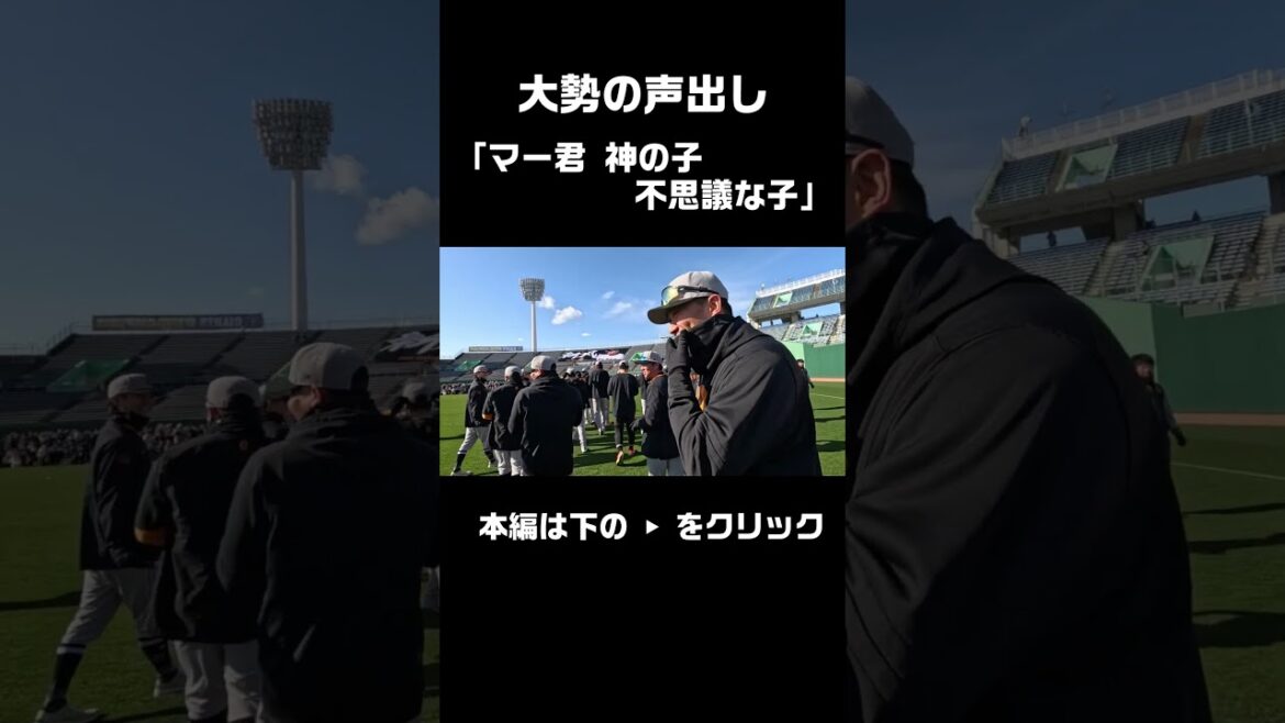 大勢「マー君 神の子 不思議な子」 #shorts